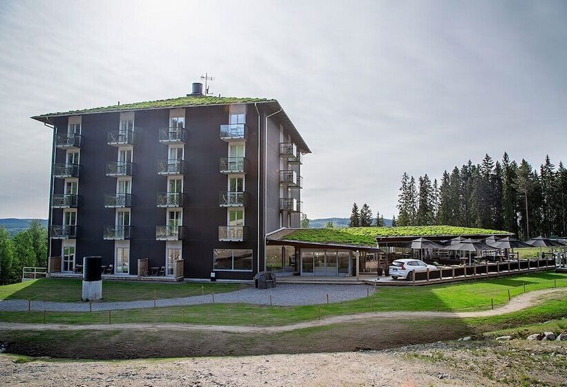 Bergshotellet