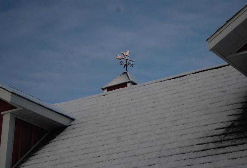 Bed and Breakfast The Black Horse Inn