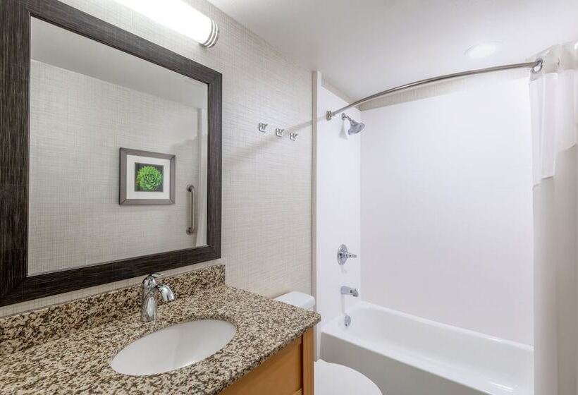酒店 Holiday Inn Express & Suites Wheat Ridge Denver West, An Ihg