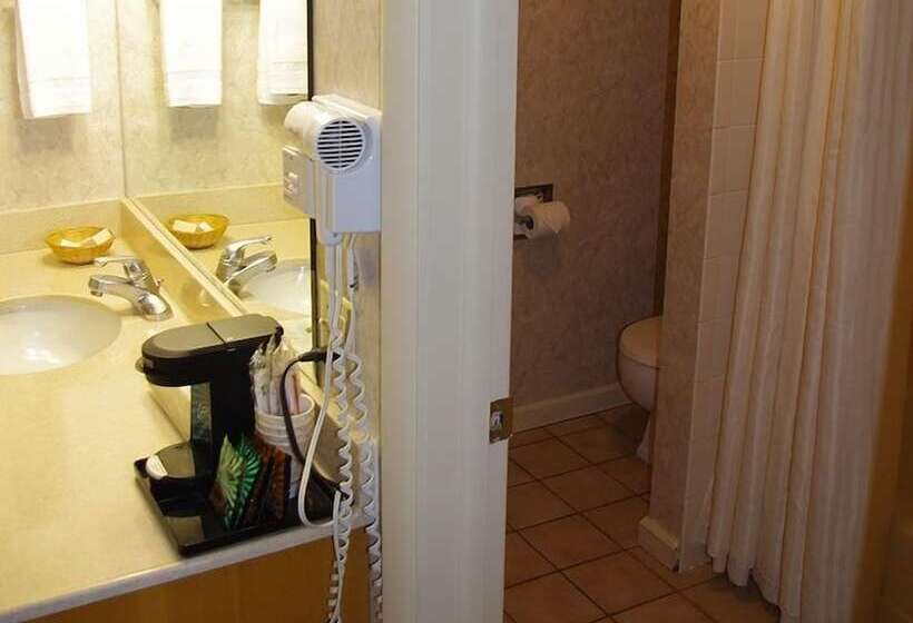 فندق Three Bear Lodge