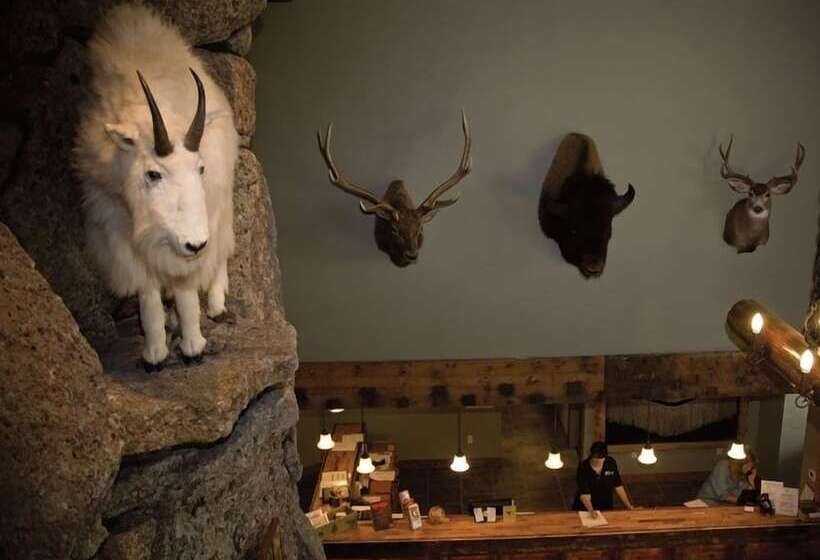 فندق Three Bear Lodge