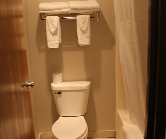 מוטל Rodeway Inn