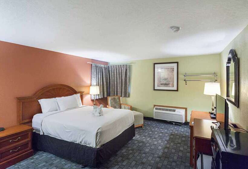 모텔 Rodeway Inn