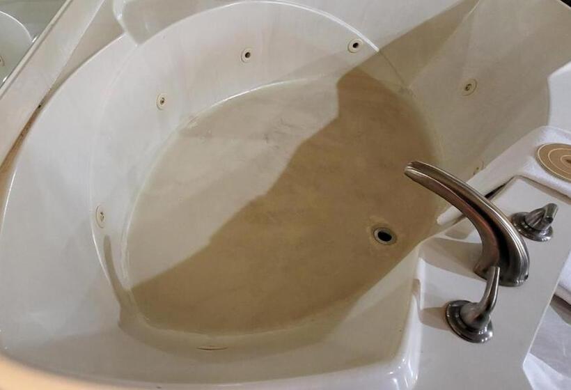 מוטל Super 8 By Wyndham Canton/livonia Area