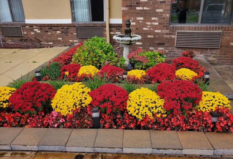 汽车旅馆  Super 8 By Wyndham Sterling Heights/detroit Area