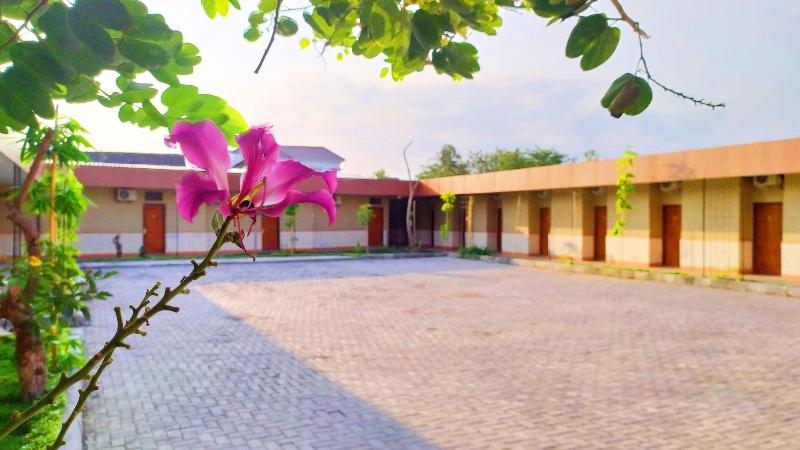 پانسیون Griya Alisha