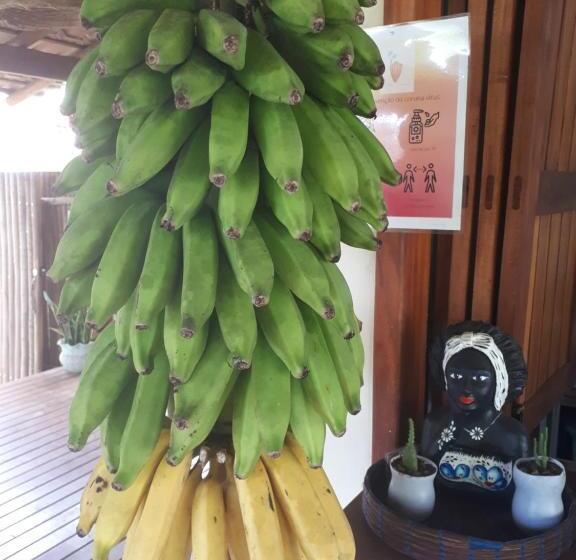 酒店 Pousada Vila Cacau