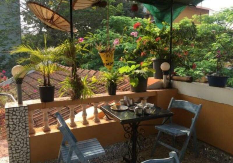 酒店 Afonso Guest House