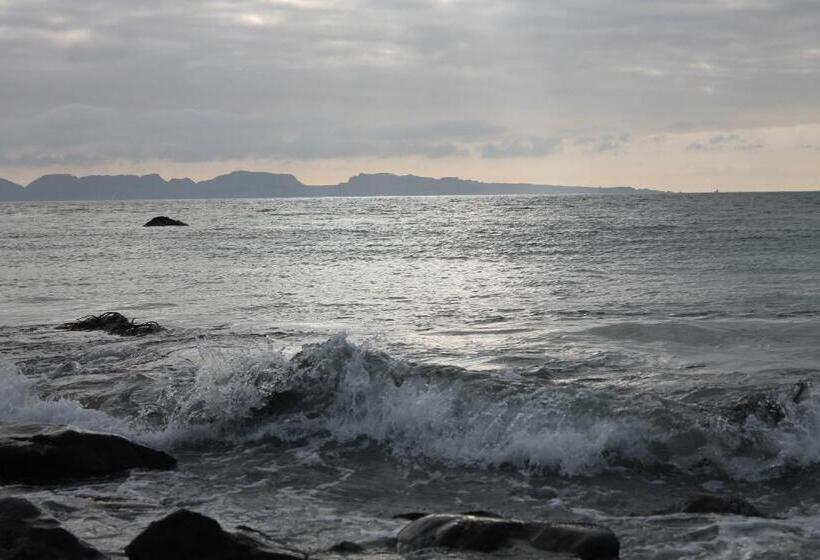 ペンション Cabaña Albergo Punta De Choros