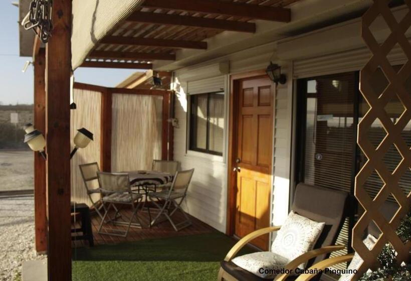 ペンション Cabaña Albergo Punta De Choros