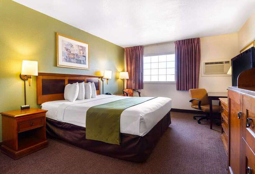 ホテル Rodeway Inn