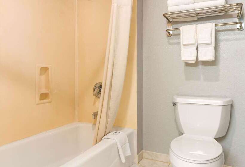 ホテル Rodeway Inn