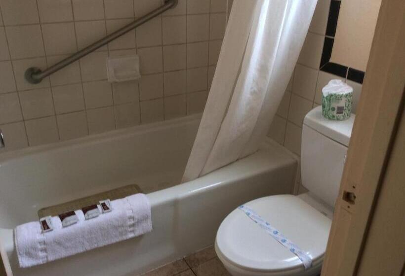 هتل Torch Lite Lodge
