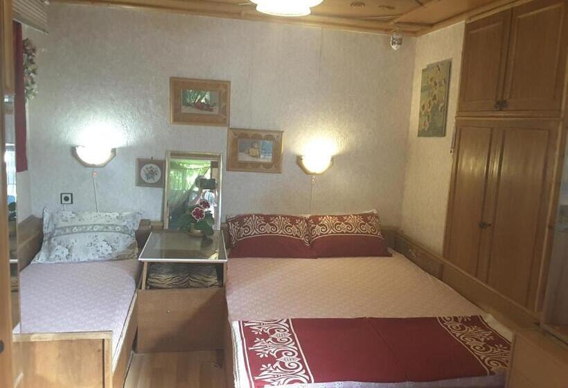 پانسیون Diana Guesthouse