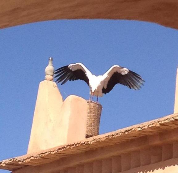 پانسیون Kasbah Titrit & Spa