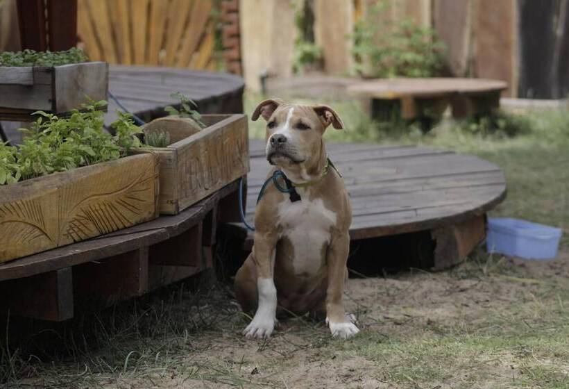 تختخواب و صبحانه Complejo Playa Grande Punta Del Diablo
