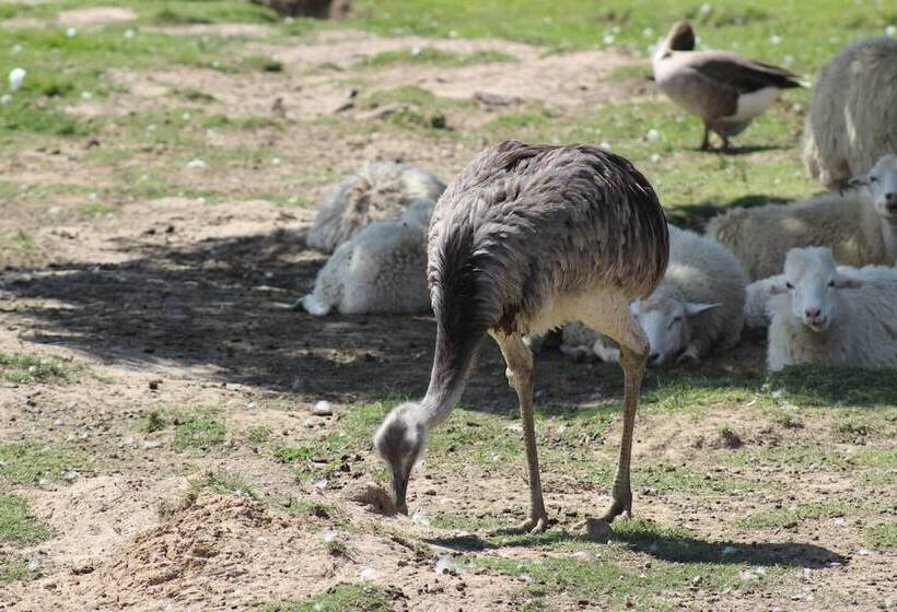 تختخواب و صبحانه Complejo Playa Grande Punta Del Diablo
