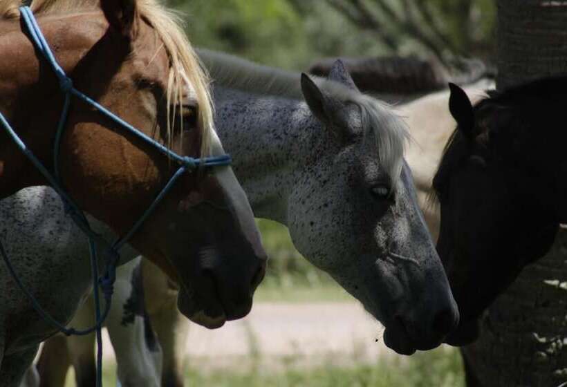 تختخواب و صبحانه Complejo Playa Grande Punta Del Diablo