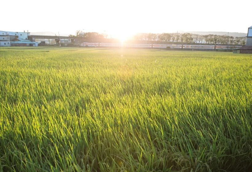 پانسیون Tree House Cafe & Homestay