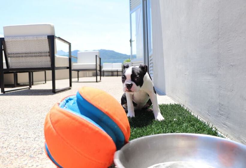 Hotel Mio Vallarta Unique & Different Adults Only