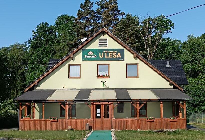 بنسيون Restaurace A Penzion U Lesa