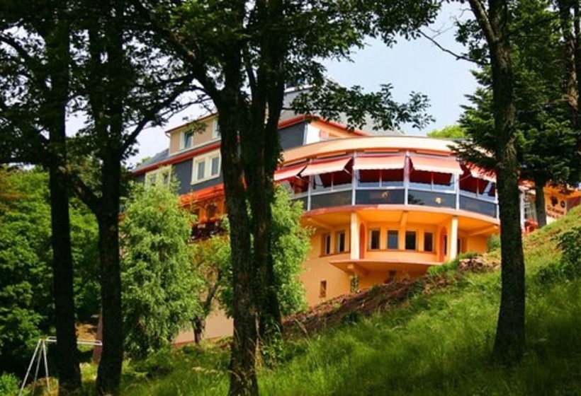酒店 L'hostellerie Le Turckheim Croix D'or