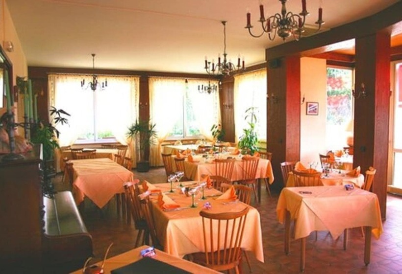 酒店 L'hostellerie Le Turckheim Croix D'or