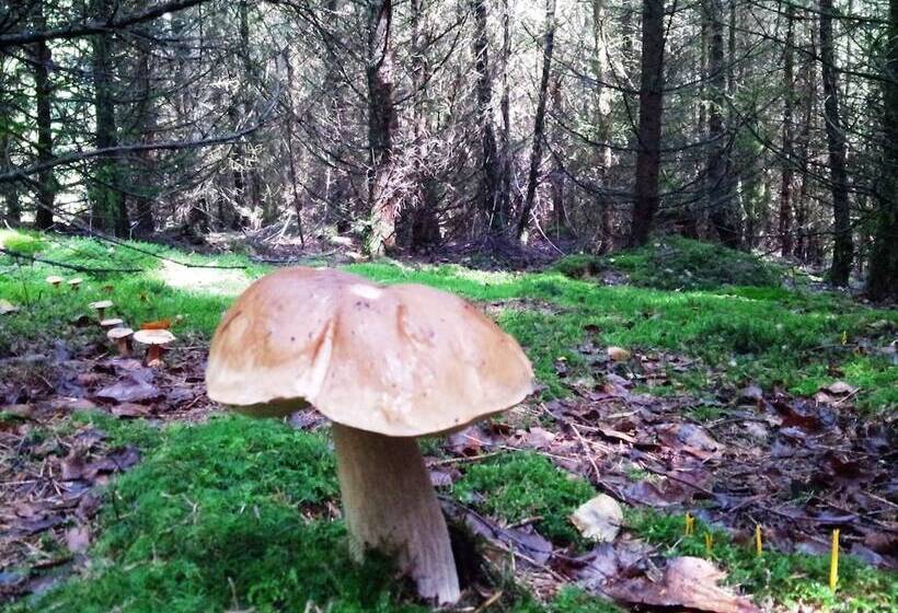 Beautiful Holdiday Home In Ulmen Near The Lake