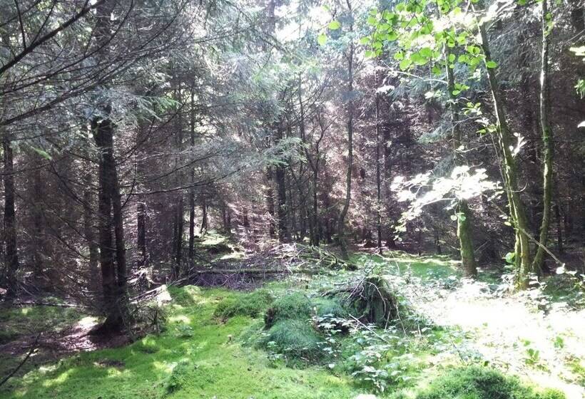 Beautiful Holdiday Home In Ulmen Near The Lake