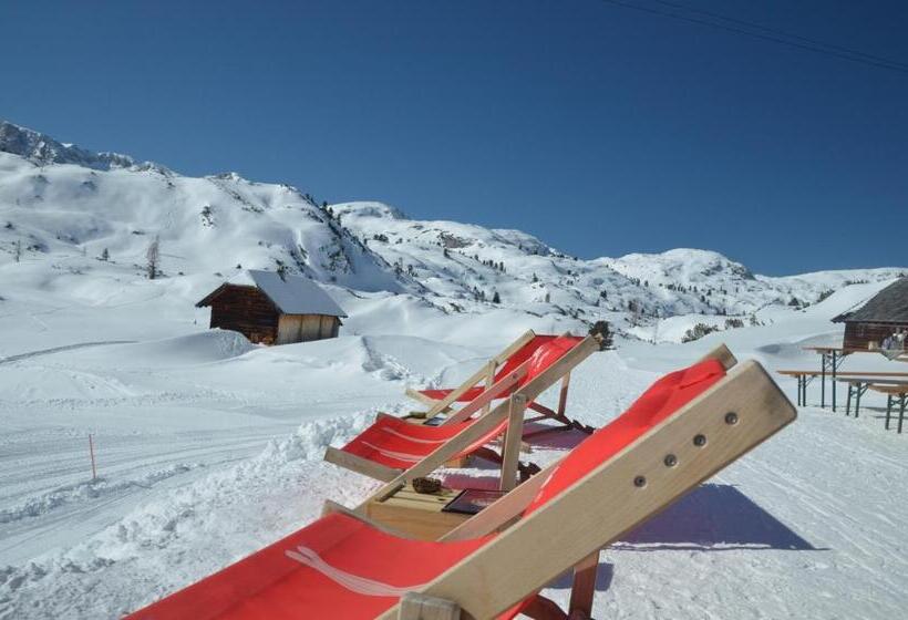 فندق Gjaid Alm 1739m Am Dachstein Only Accessible By Cable Car