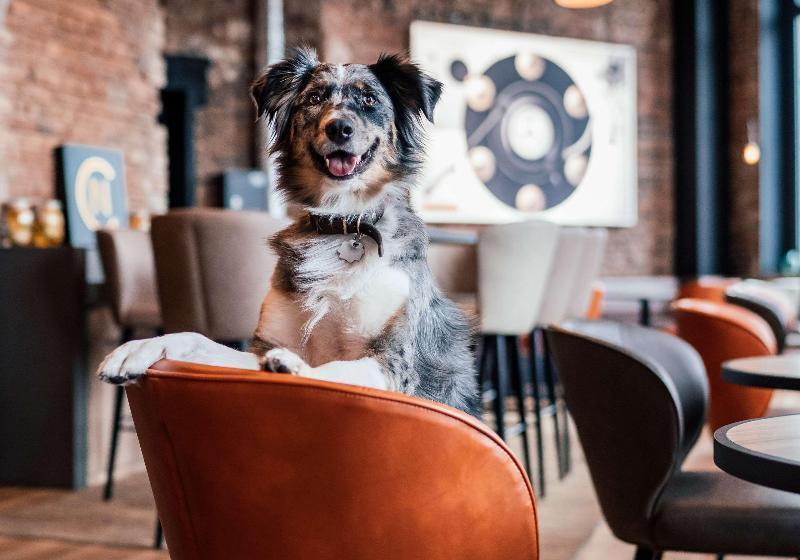 Me And All Hotel Hanover, By Hyatt