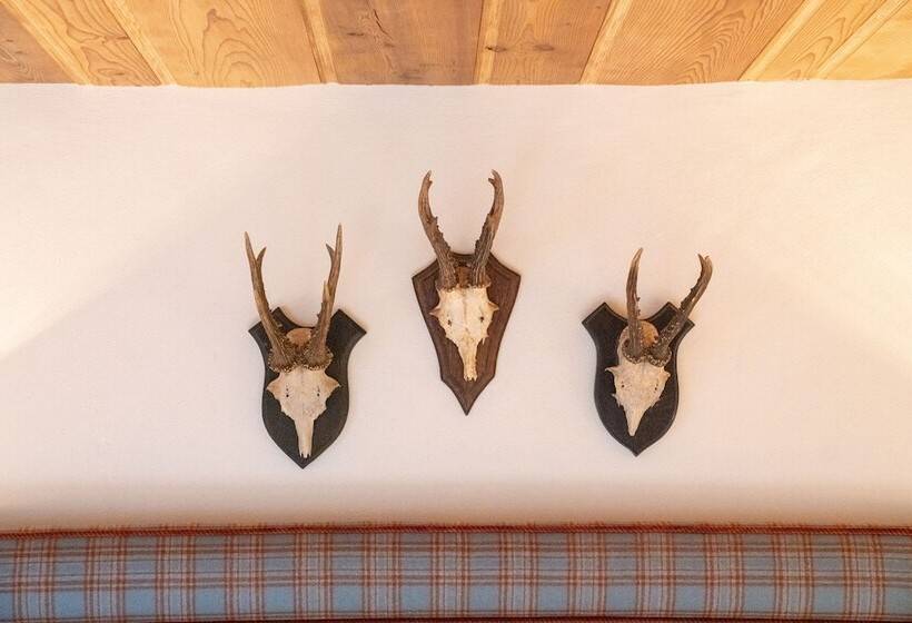 אתר נופש Eleven Chalet Hibou