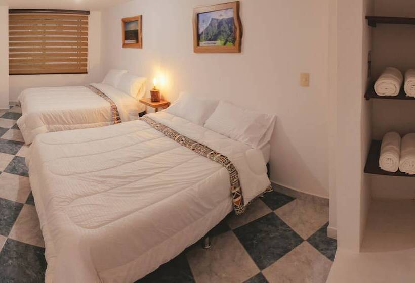 پانسیون Nogal Hostel