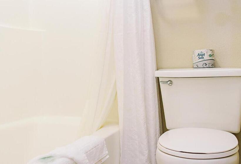 فندق على الطريق Lavissh Inn & Suites