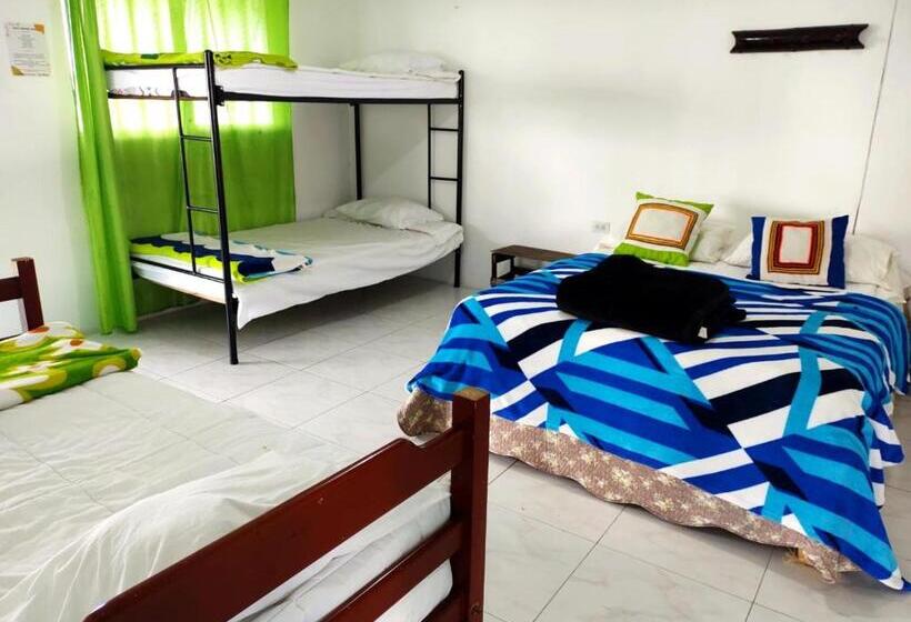 پانسیون H Shaddai