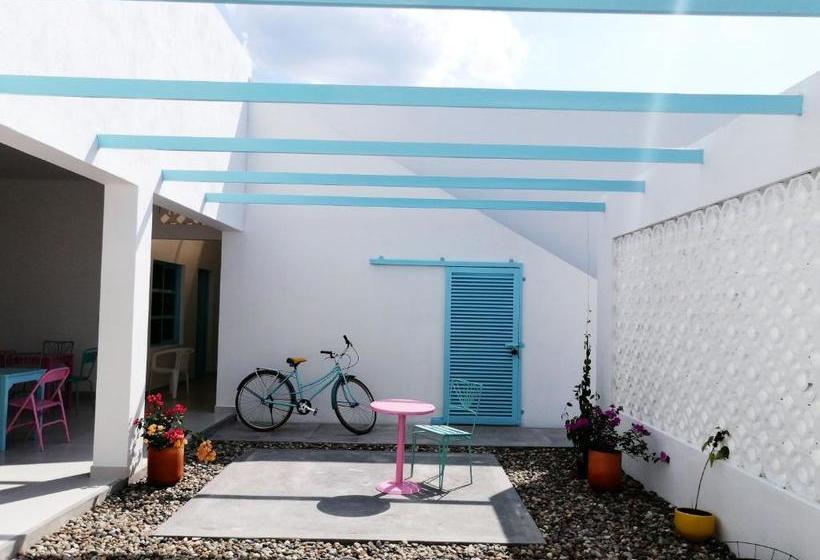 پانسیون Casa Celeste Honda