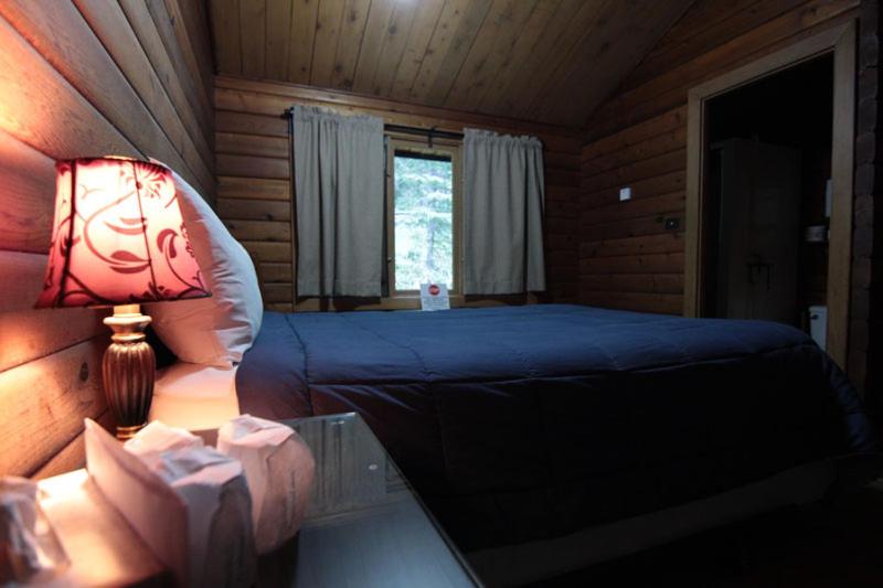 استراحتگاه Miette Hot Springs Bungalows