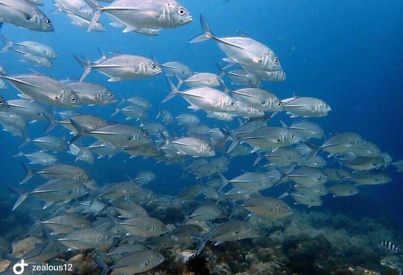 Kurort Sugarsea Inn & Dive Shop