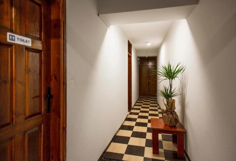 هاستل Homelike Guest House