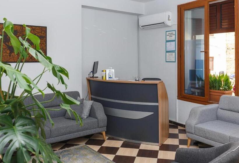 هاستل Homelike Guest House