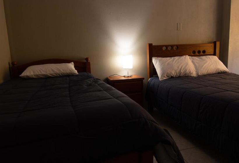 호스텔 Hostal Roma