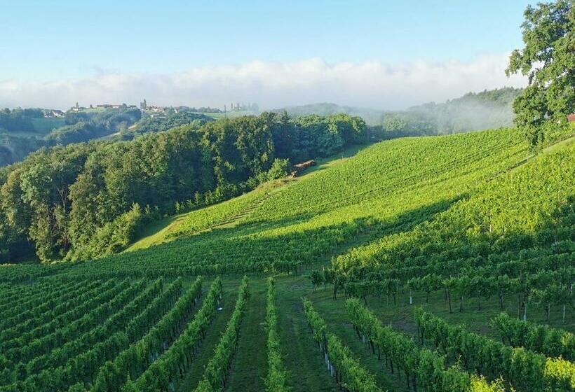 Отель Weingut Assigal