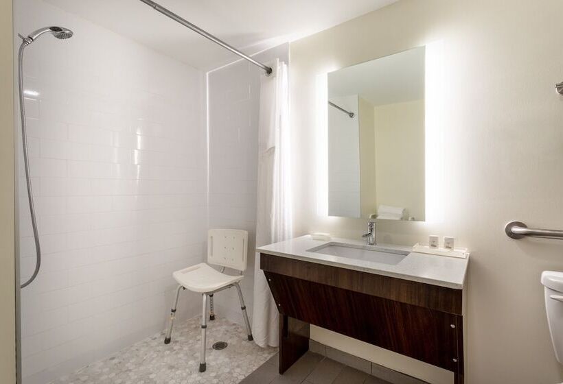 בית מלון כפרי Holiday Inn   Tampa North, An Ihg