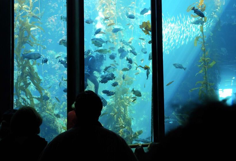 هتل Hyatt House San Diego Sorrento Mesa