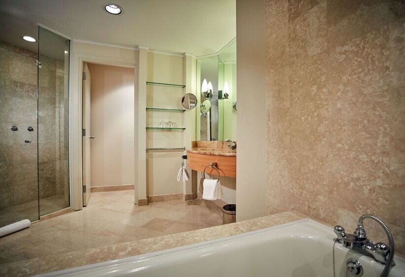 هتل Hyatt Regency Belgrade