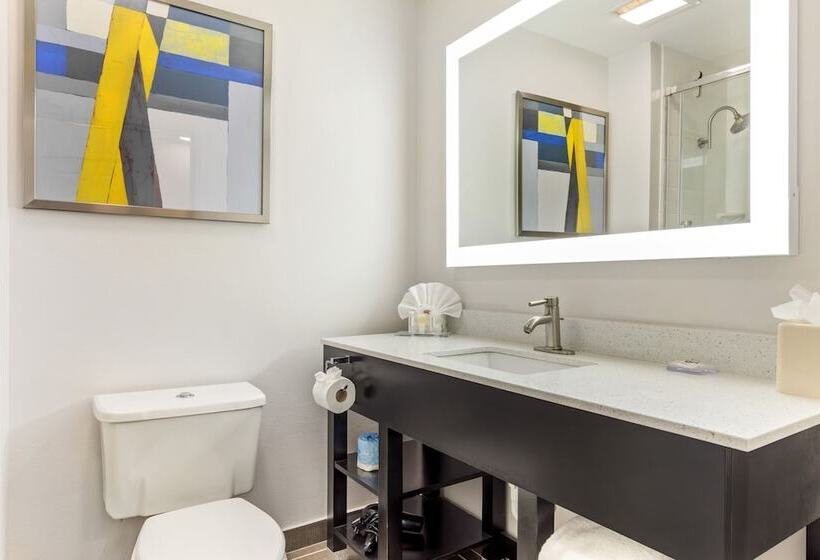 هتل Comfort Inn & Suites Irving Las Colinas Dfw