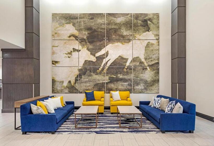 هتل Comfort Inn & Suites Irving Las Colinas Dfw