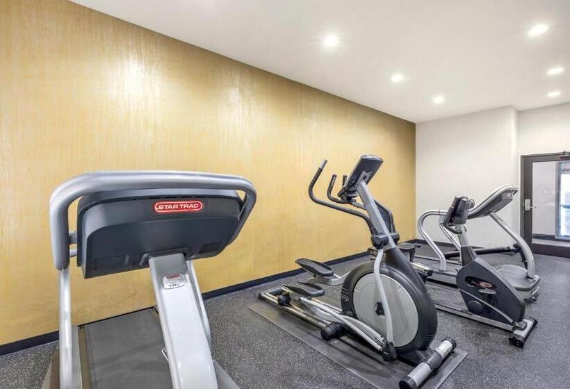 هتل Comfort Inn & Suites Irving Las Colinas Dfw