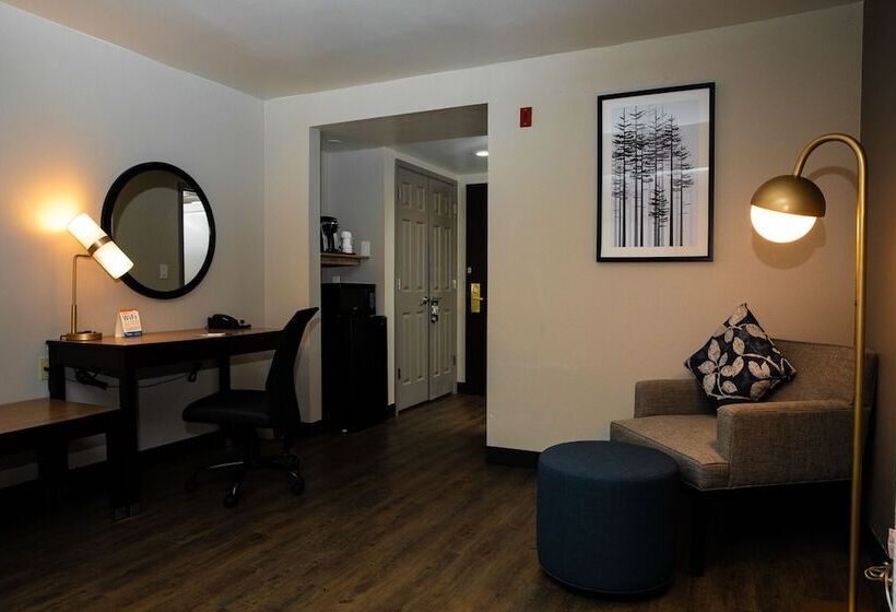 هتل Wingate By Wyndham Dfw / North Irving