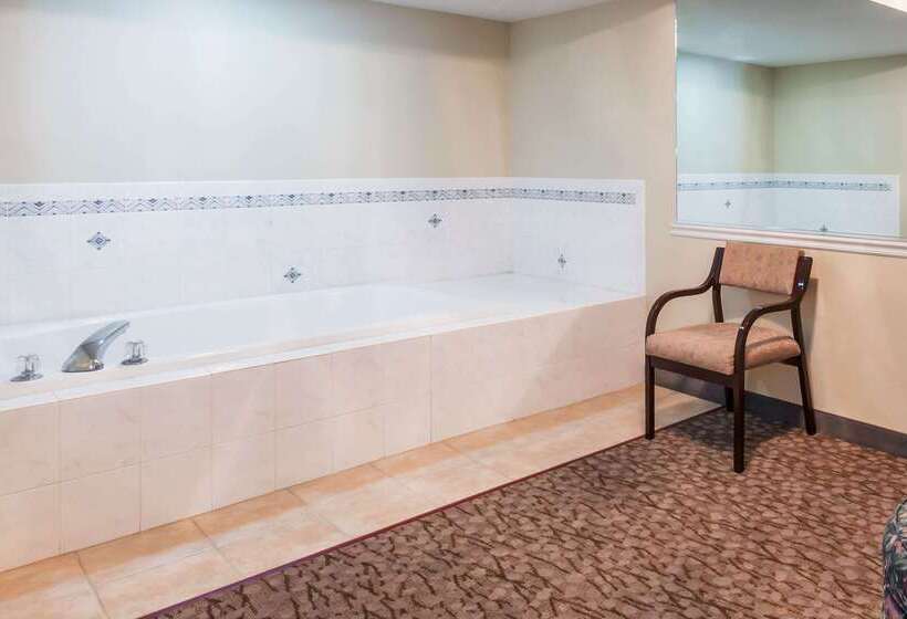 هتل Wingate By Wyndham Joliet